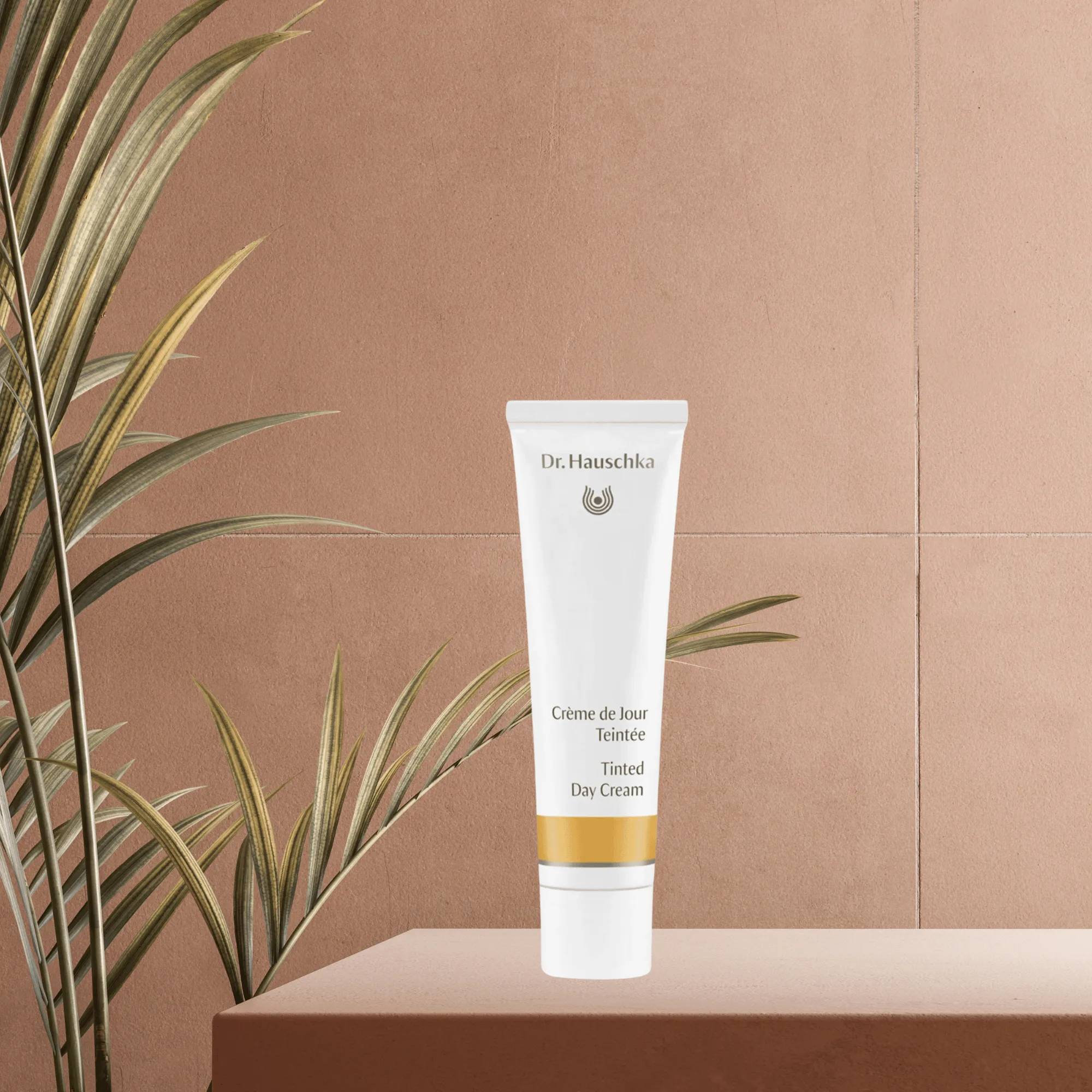 Dr. Hauschka Tinted Day Cream