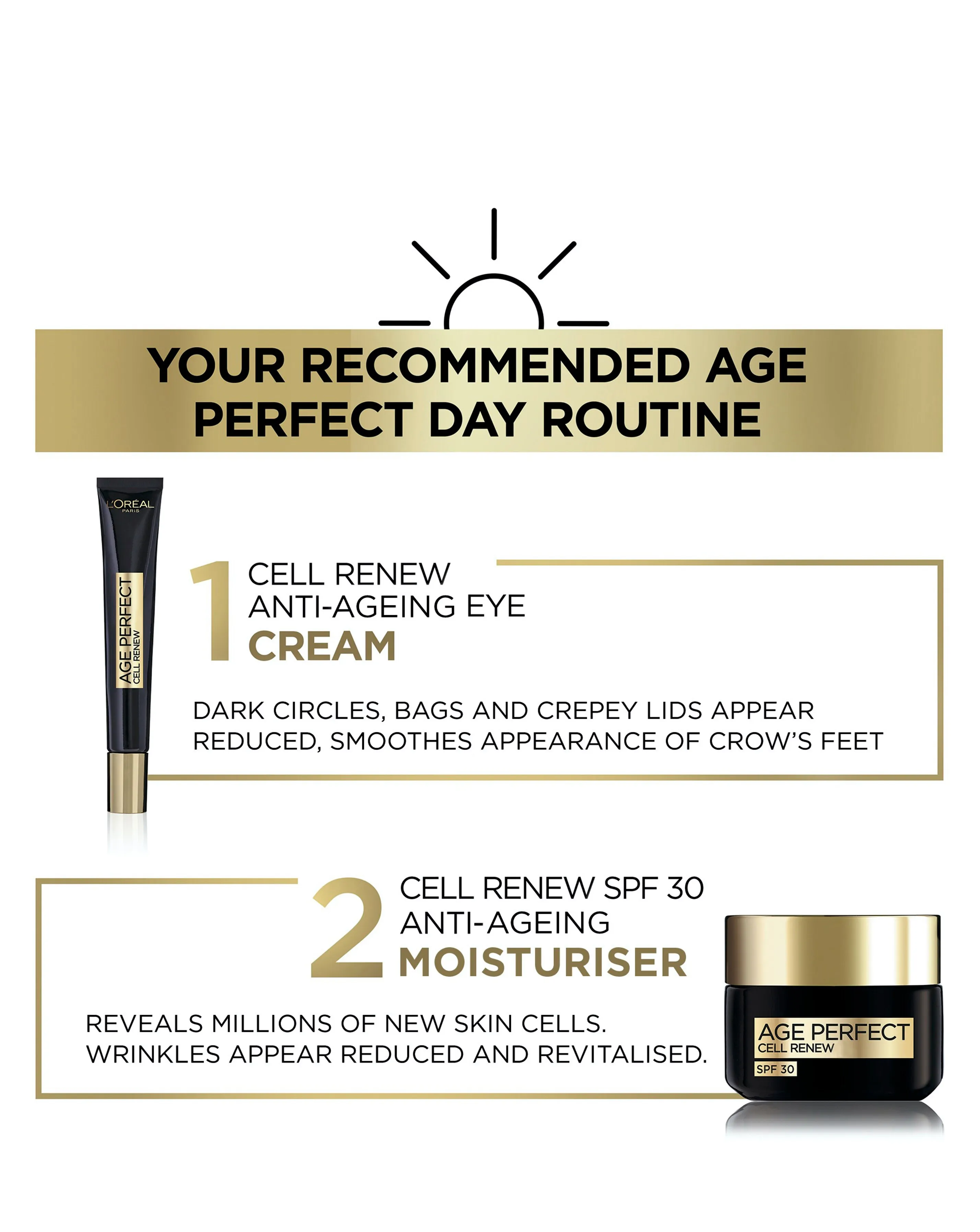 L'Oreal Paris Cell Renew Day Cream With SPF 30 50ml | Simply Be