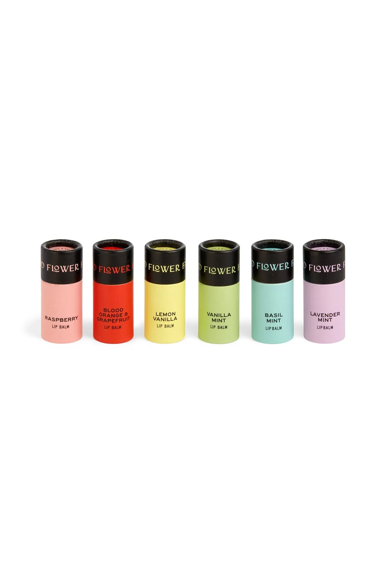 Rainbow Organic Lip Balm Set